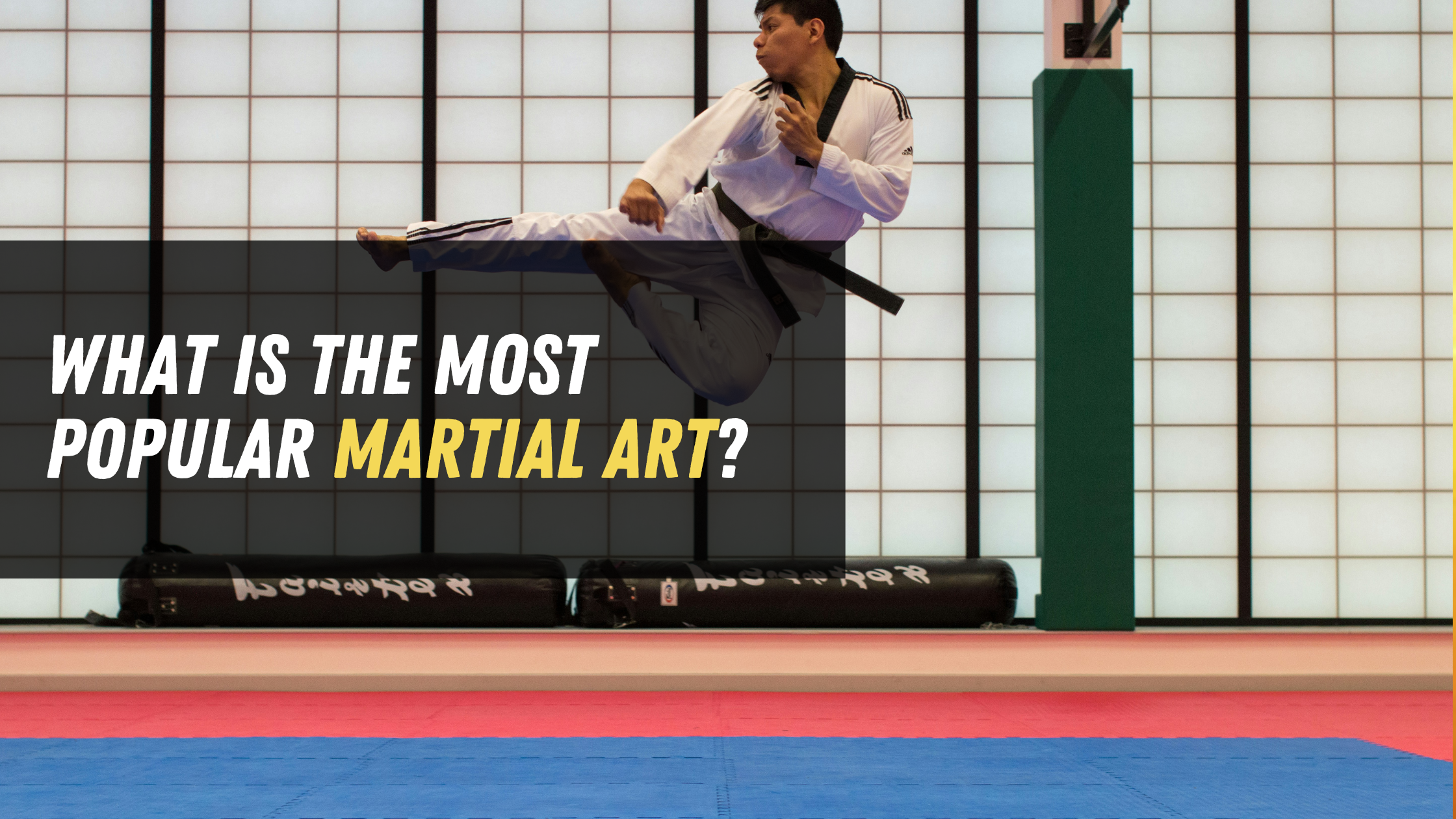 What Is the Most Popular Martial Art?