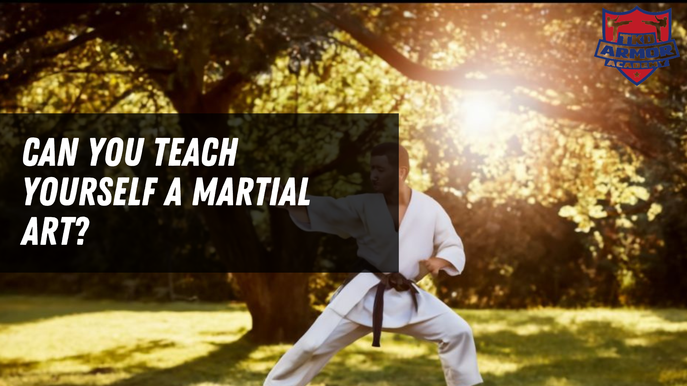 Can You Teach Yourself a Martial Art?