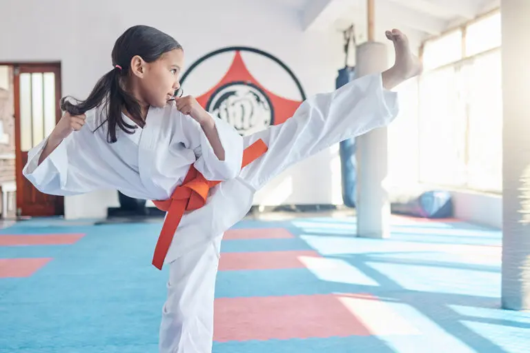 Martial Arts vs Karate
